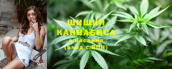 сатива Алексин