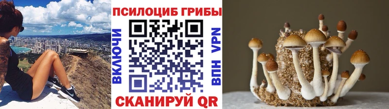 hydra tor  Апатиты  дарк нет какой сайт  Галлюциногенные грибы GOLDEN TEACHER 